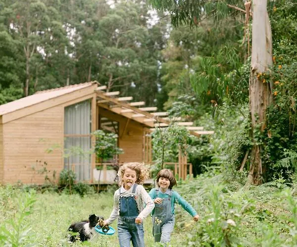 公寓 Da Viscondessa - At Urzelina