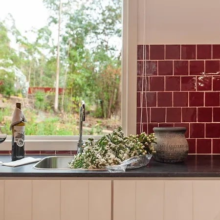 Da Viscondessa Urzelina