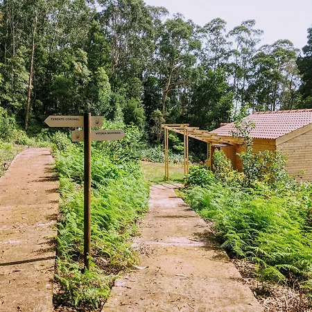 Da Viscondessa 3* Urzelina