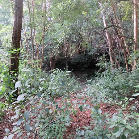 Da Viscondessa - At Urzelina